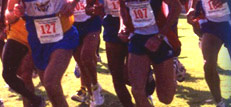 VI Track and Field Federation